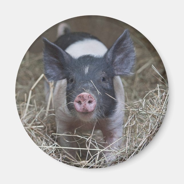 Imã Leitura em palha (Frente)