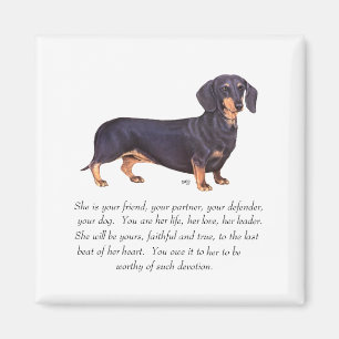 Imã Lembrança de Dachshund - Fêmea