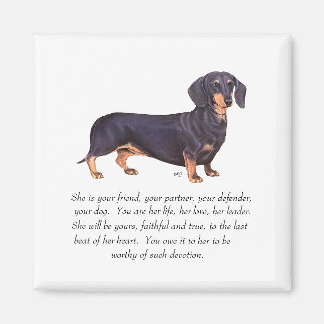 Imã Lembrança de Dachshund - Fêmea (Frente)