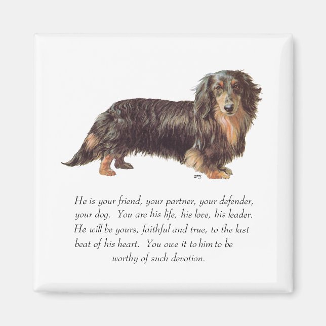 Imã Lembrança de Dachshund - Macho (Frente)