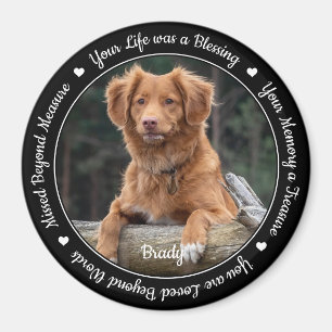 Imã Lembrança de Perda de Pet Memorial Keepsaokie