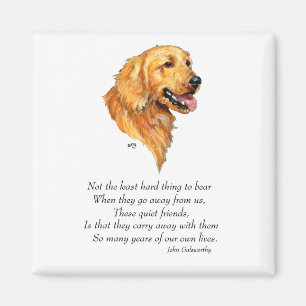 Imã Lembrança do Golden Retriever