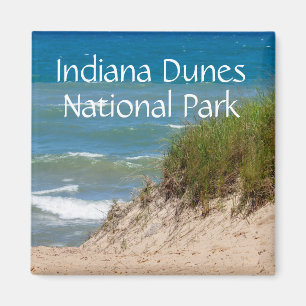 Imã Lembrança do parque nacional das dunas de Indiana