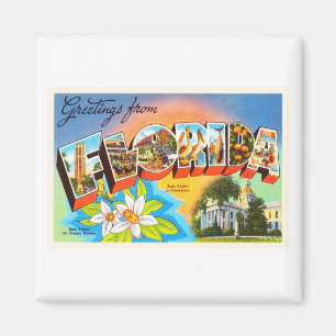 Imã Lembrança velha das viagens vintage de Florida FL
