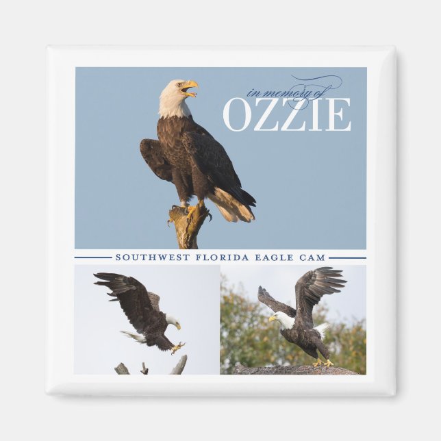 Imã Lembrando o ímã Ozzie (Frente)