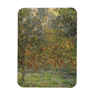 Ímã Lemon Grove em Bordighera por Claude Monet