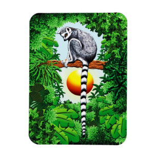 Ímã Lemur de Madagascar