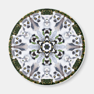 Imã Lemur Kaleidoscope