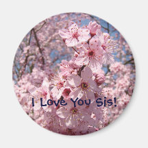 Lente-rosa, íman, Eu Amo-Te Sis!