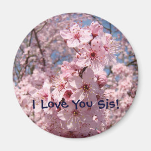Imã Lente-rosa, íman, Eu Amo-Te Sis!
