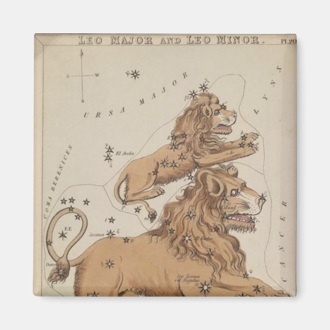 Imã Leo Magnet (Frente)