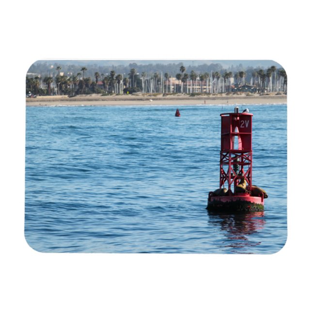 Ímã Leões do Mar de Buoy (Horizontal)
