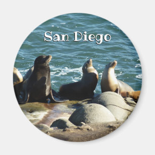 Imã Leões Marinhos de San Diego