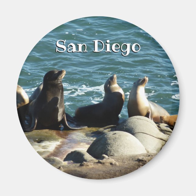 Imã Leões Marinhos de San Diego (Frente)