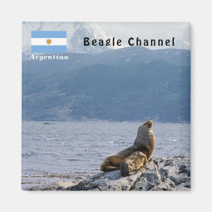 Imã Leões marinhos no canal de beagle - Argentina