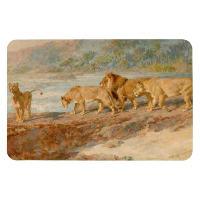 Ímã Leões na margem de um rio africano (Horizontal)