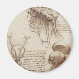 Imã Leonardo da Vinci - Fisiologia Cerebral
