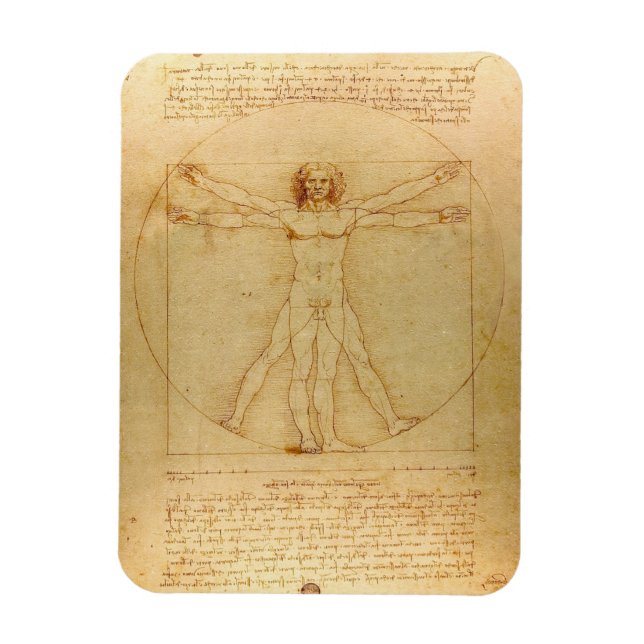 Ímã Leonardo Da Vinci, Homem Vitruviano, Rácio do Ouro (Vertical)