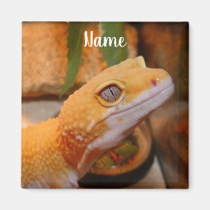 Imã Leopardo Amarelo Personalizado Gecko Lizard