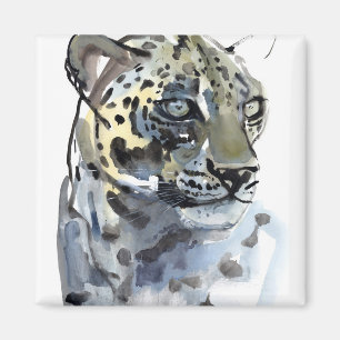 Imã Leopardo árabe 2008 4