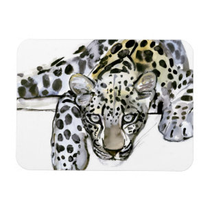 Ímã Leopardo árabe 2008 6