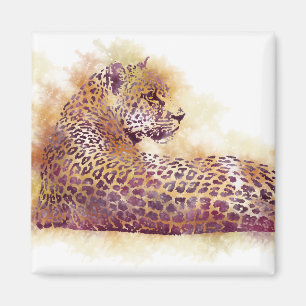 Imã Leopardo-d-água