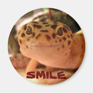 Imã Leopardo Gecko Smile