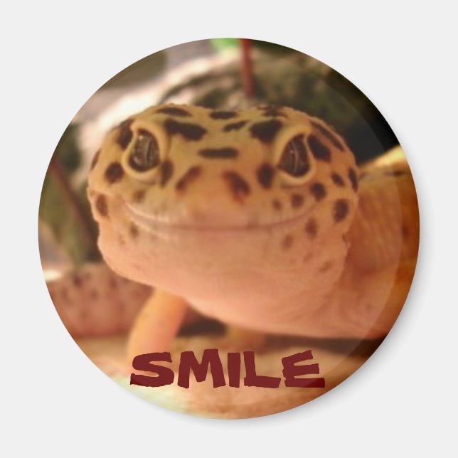 Imã Leopardo Gecko Smile (Frente)
