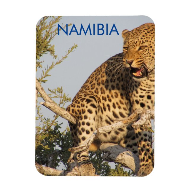 Ímã Leopardo, Namíbia Magnet (Vertical)