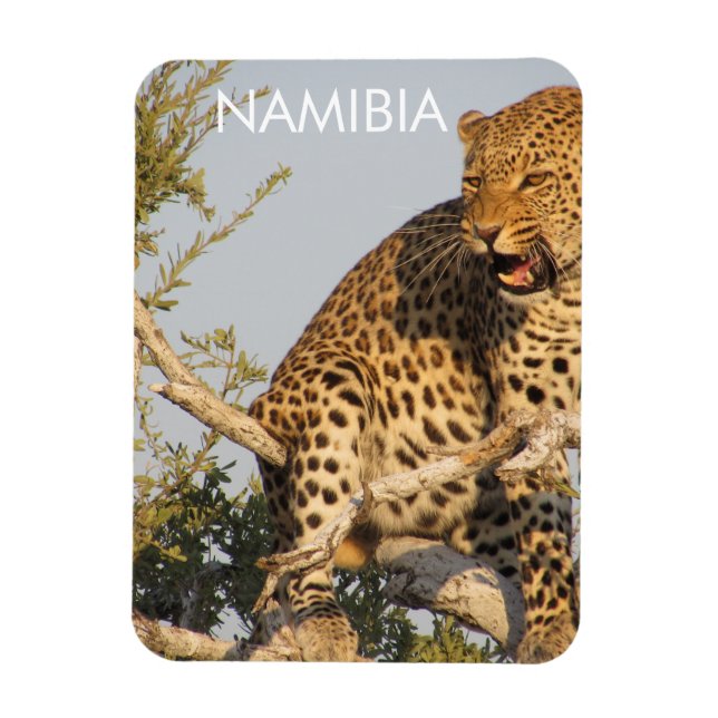 Ímã Leopardo, Namíbia Magnet (Vertical)