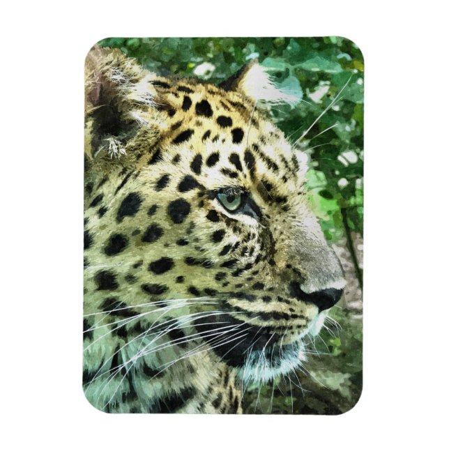 ÍMÃ LEOPARDS (Vertical)