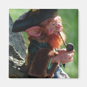Imã leprechaun real