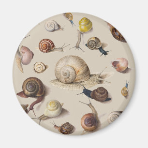 Imã Lesma Caracol Jardim Animal de Estimação Gastrópod