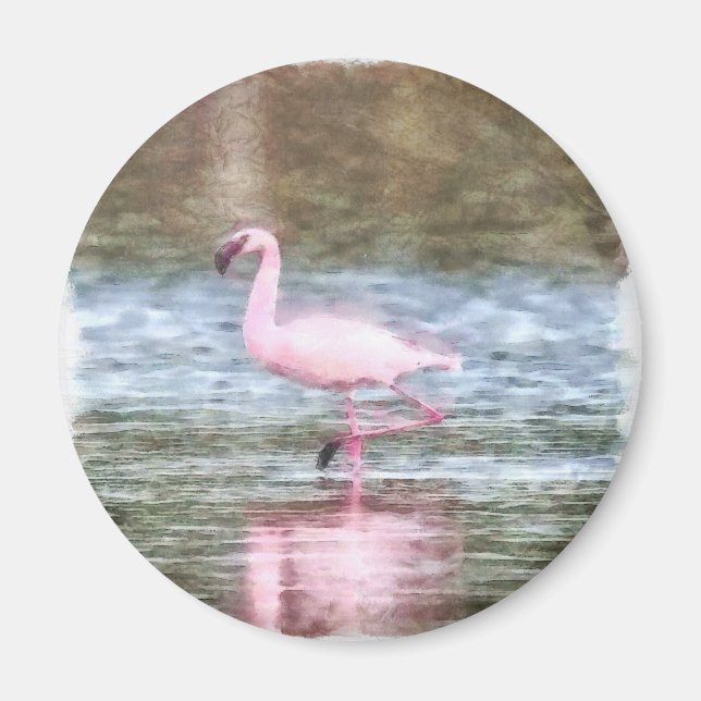 Imã Lesser Flamingo Watercolor (Frente)