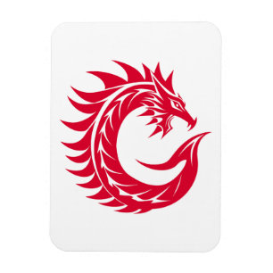 Ímã Letra C Estilizada com Dragão, Alfabeto de Dragão,