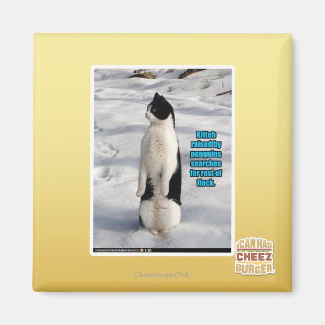 Imã Levantados por Pinguins (Frente)