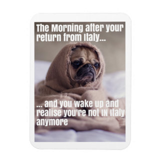 Ímã Leve-me de volta à Itália Magnet