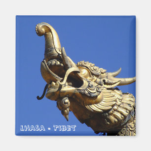 Imã Lhasa, Tibete, Templo Jokhang (Imã de geladeira)