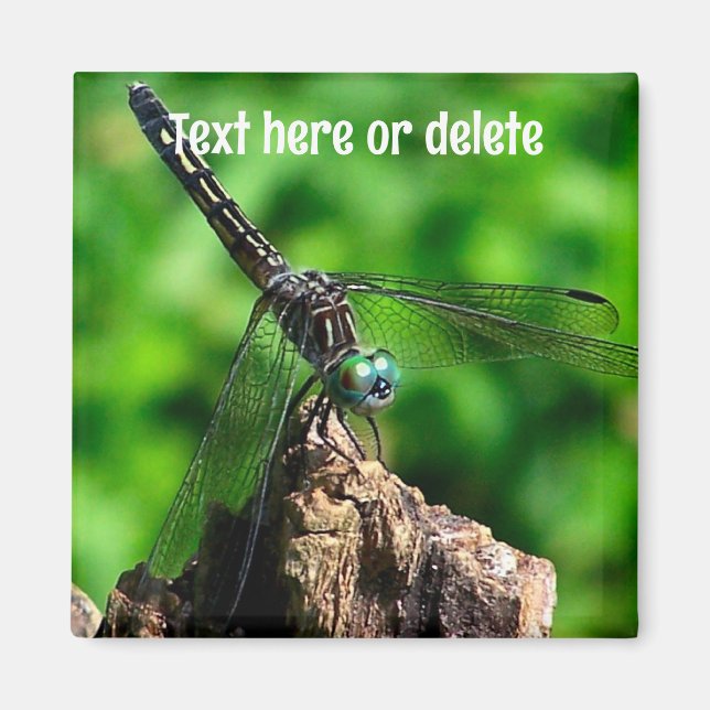 Imã Libélula Nature Personalizado (Frente)