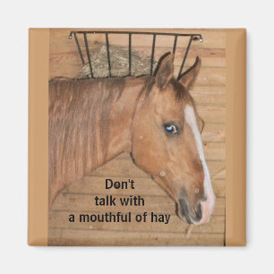 Imã Lições da mãe - ímã