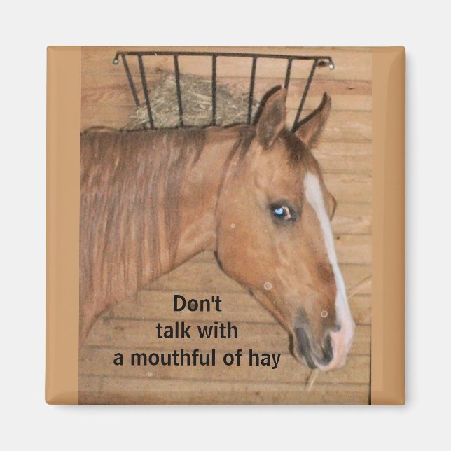 Imã Lições da mãe - ímã (Frente)