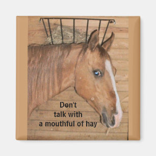 Imã Lições da mamã - ímã