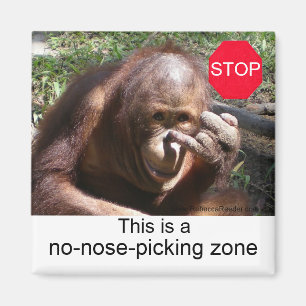 Imã Lições sobre a vida animal #1