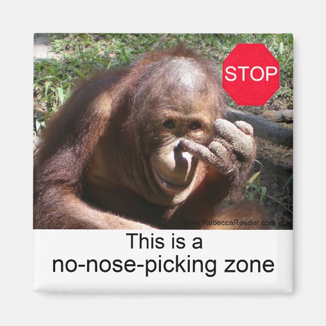 Imã Lições sobre a vida animal #1 (Frente)