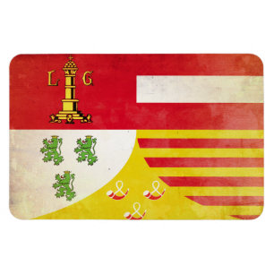 Ímã Liege
