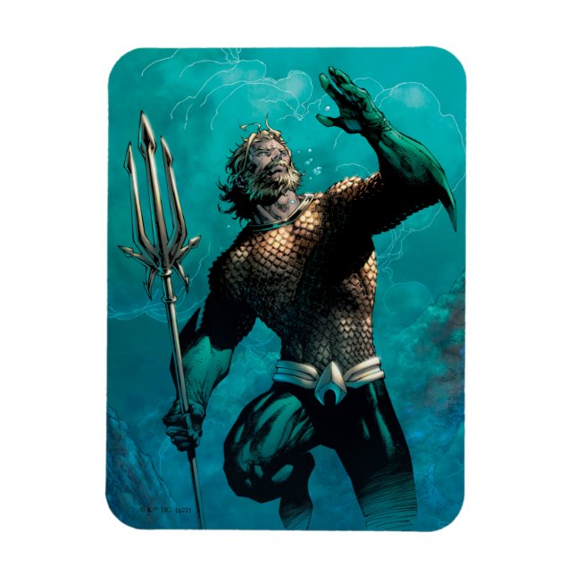 Ímã Liga da Justiça nº 10 Aquaman Afogou Variante da T (Vertical)