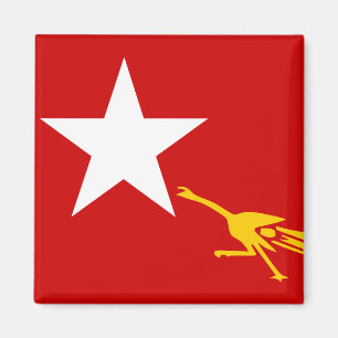 Imã Liga nacional para a democracia, bandeira de