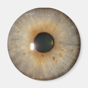 Imã light hazel eye