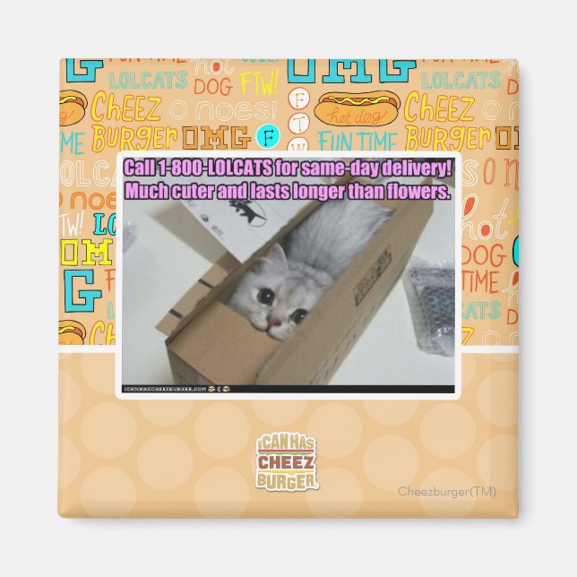 Imã Ligue para 1-800-LOLCATS (Frente)