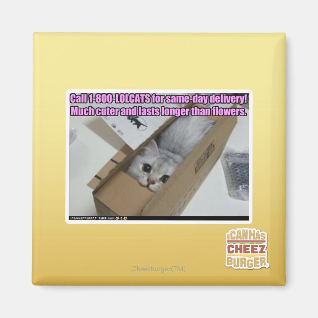 Imã Ligue para 1-800-LOLCATS (Frente)